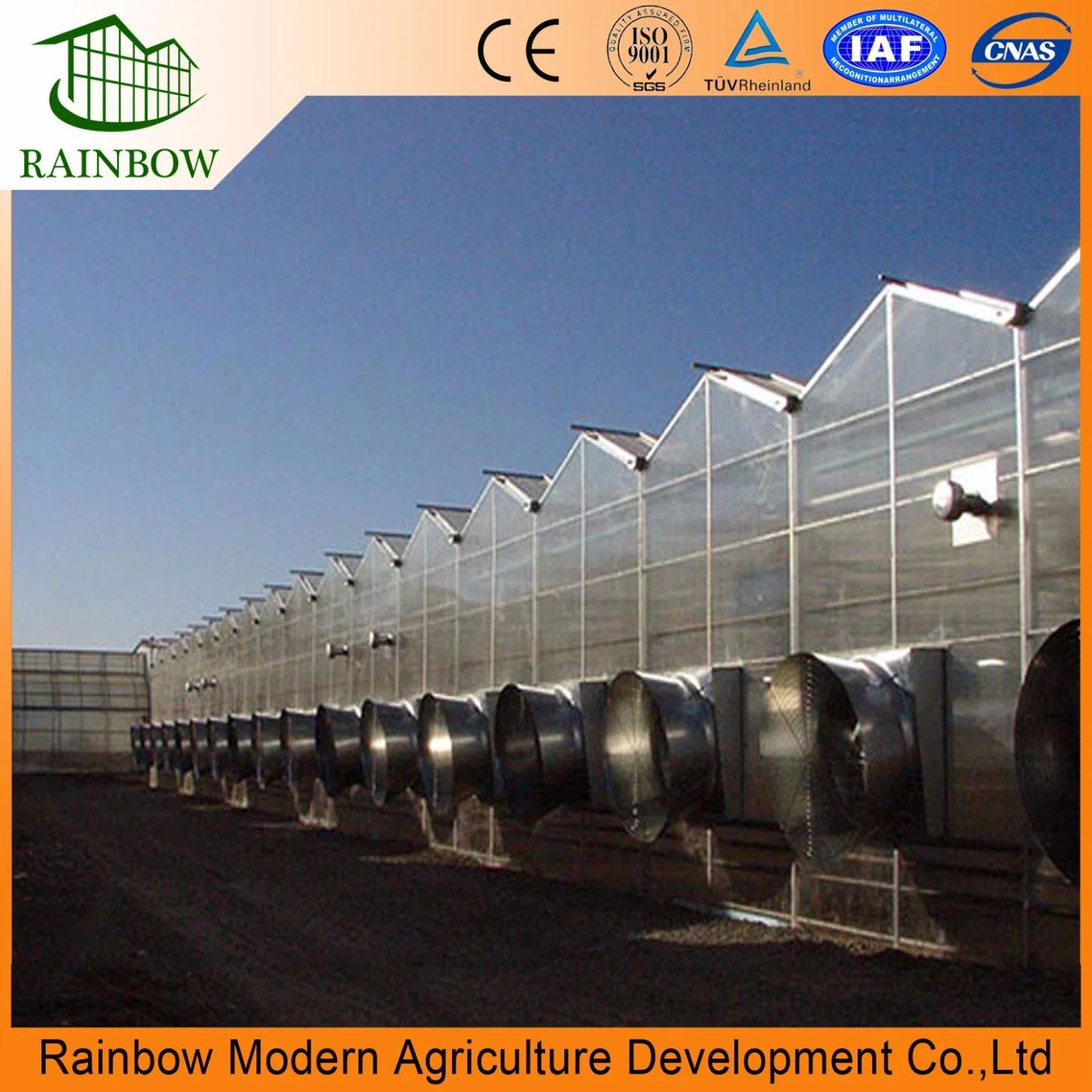 China 2019 New Design Polycarbonate Panels Greenhouses