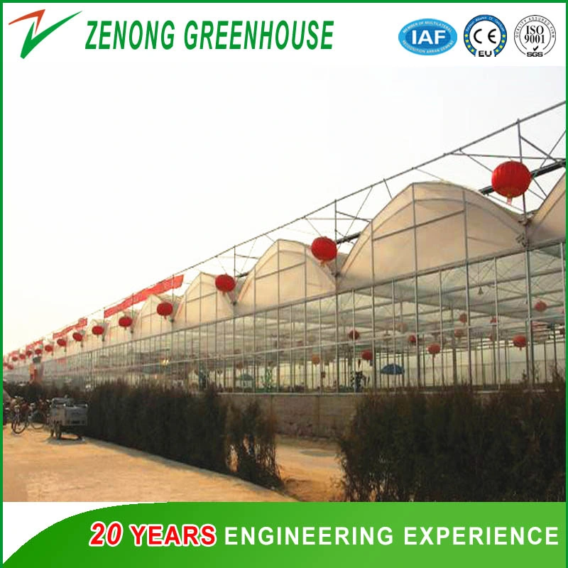 Insulation Greenhouse for Cold Area Planting Uses Energy Saving Greenhouse Double Arch Double Film Greenhouse