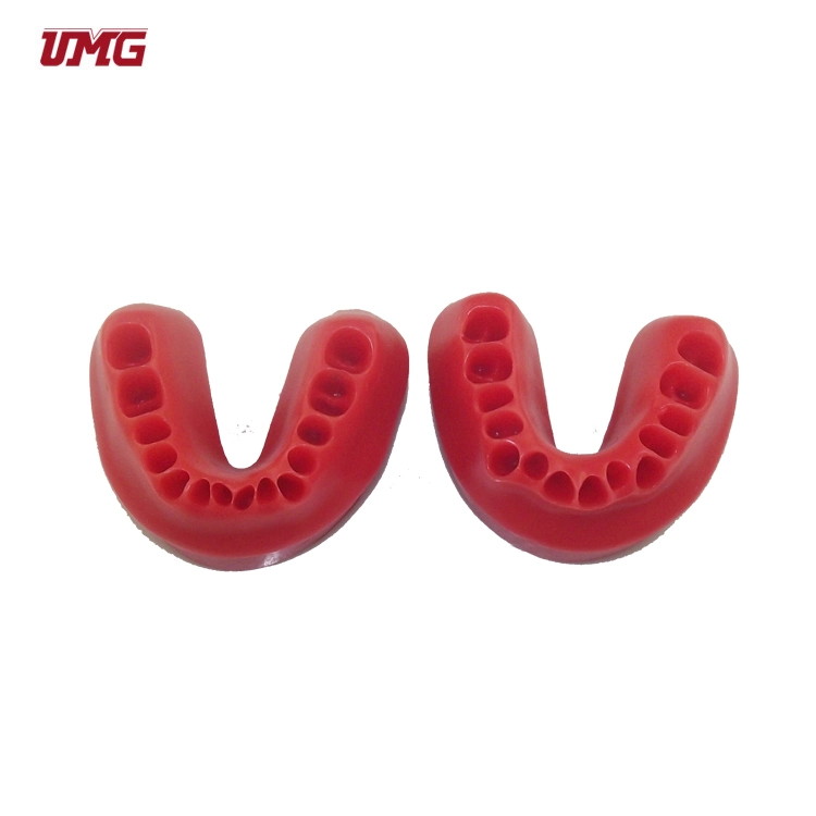 High quality/High cost performance  Wax Occlusion Rim Teaching Tooth Model