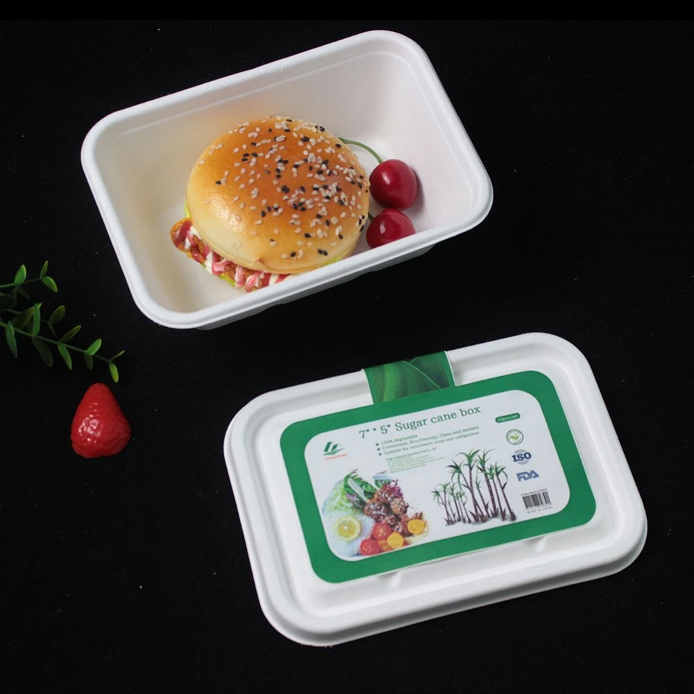 Custom Logo Printed 500ml 700ml 800ml 1000ml Paper Food Containers Biodegradable Sugar Cane Bagasse Lunch Box