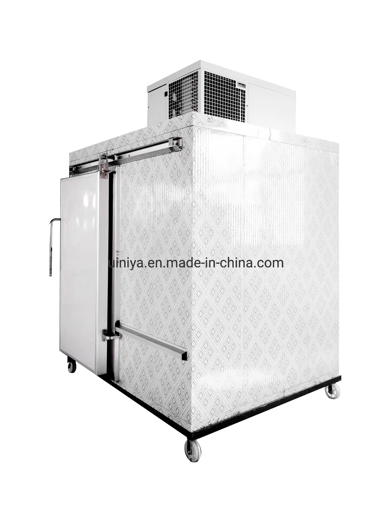 Cold Storage Room Container Freezer PU Panel Premium Cooler Preservation for Meats