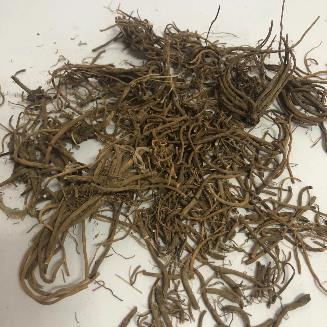 Wholesale/Supplier Dried lavado Natural Valeriana Officinalis gato mascota almohada