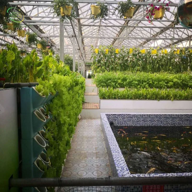 Fabrik Preis Hohe Qualität Hydroponics Aquaponics System Vertikal Nft Wächst Salat Der Farm