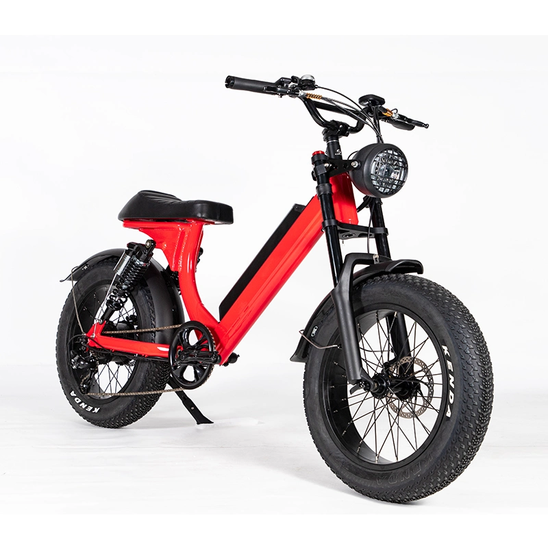 Leo Adopts CE Certified Electric Bike with Fat Tires Customized for Men and Women