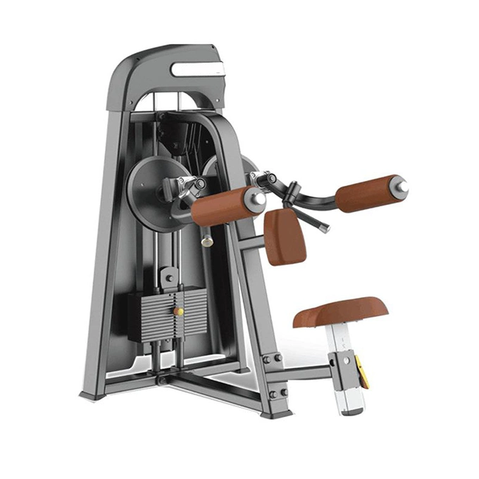 Pin Loaded Lateral Raise Machine 1004 Gym Fitness Equipment
