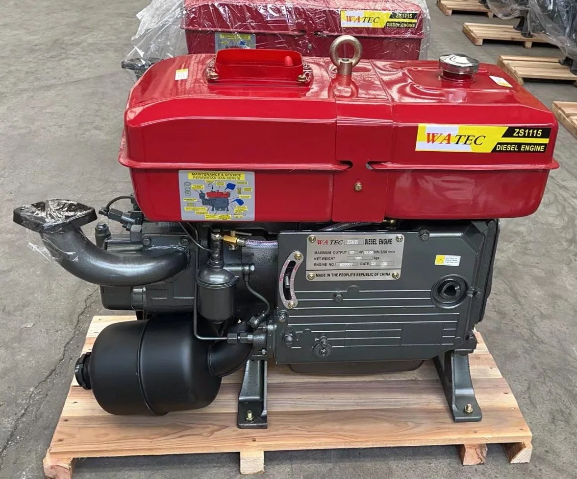 Changchai Single Cylinder Water-Cooled Zs1100 Diesel Engine