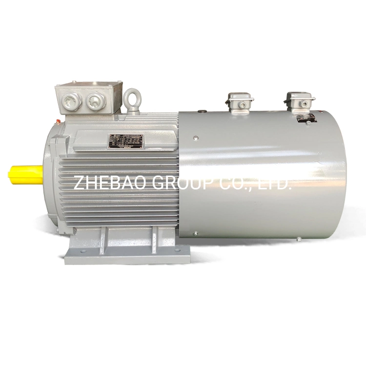 45kw Low Voltage Variable Frequency Speed Adjustable AC Induction Motor