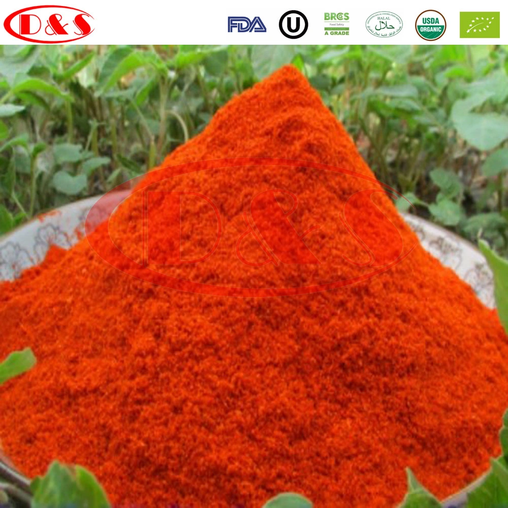 Verduras secas Paprika polvo Precio al por mayor Paprika Paprika