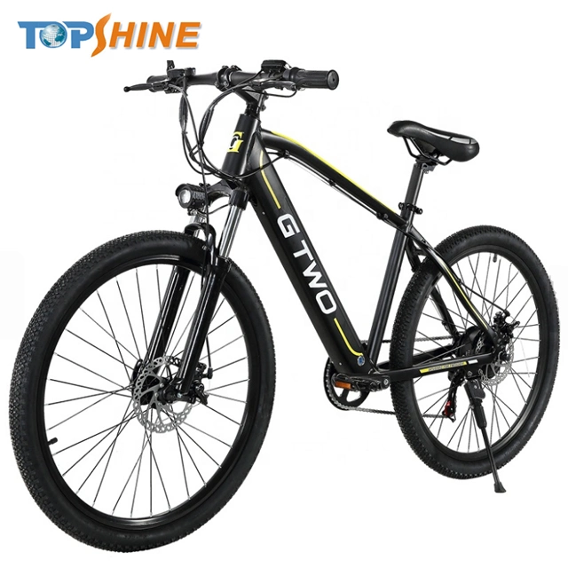 CE Approved Mountain Electric Bicycle with Removable Lithium Battery and GPS Music Odometer