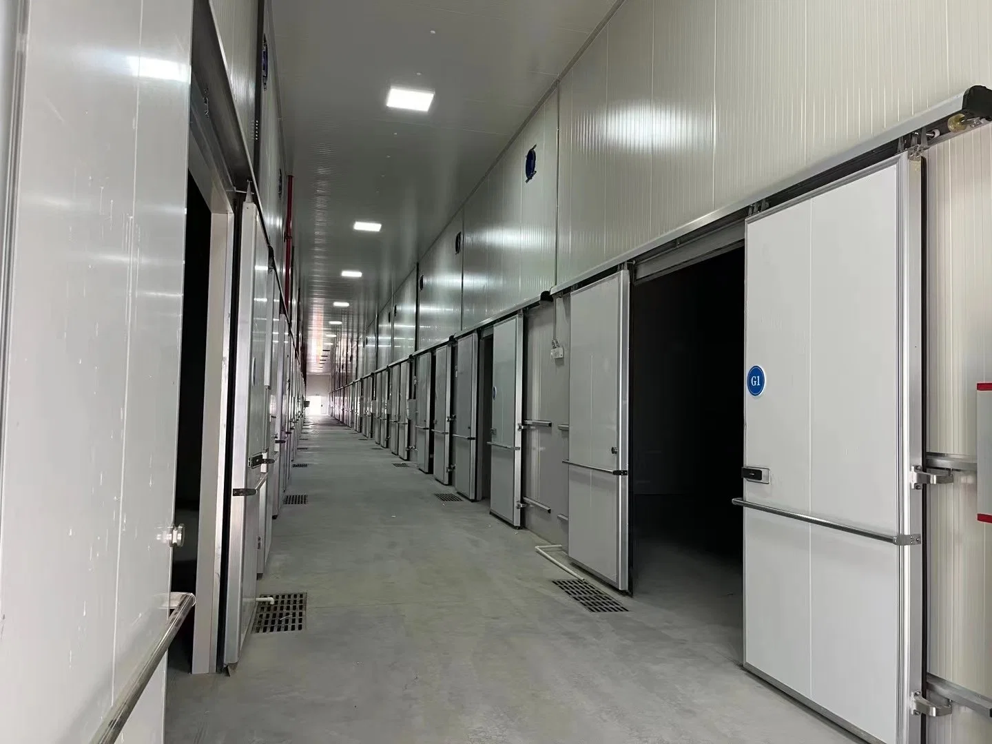 Frigorífico Cold Room para aparelhos de refrigeração de congelador Blast em Painel sanduíche Venda