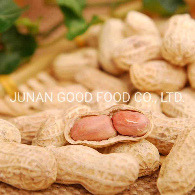 New Varieties of High quality/High cost performance  Raw Peanut Kernels / Roasted Peanuts