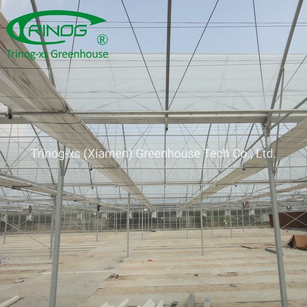 Large tunnel plastic agricultural multispan greenhouse for green vegetables