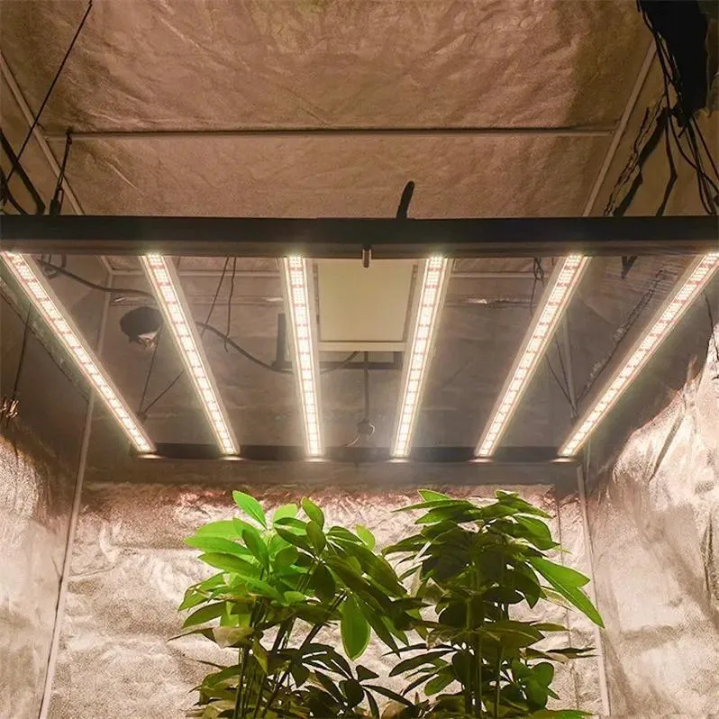 La alta calidad 20W T8 Planta crecer la luz del tubo fluorescente