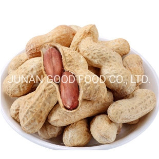 Sell Peanut Shell Export Crop Roasted Peanuts