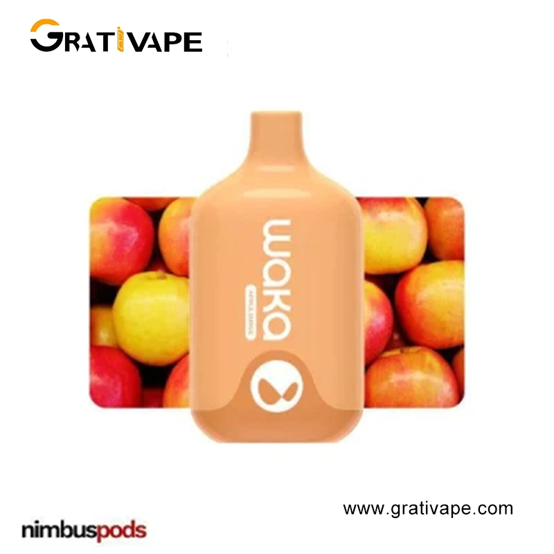 OEM Waka Smash 6000 puffs Disposable Vape 12 мл наилучшее качество Электронная сигарета