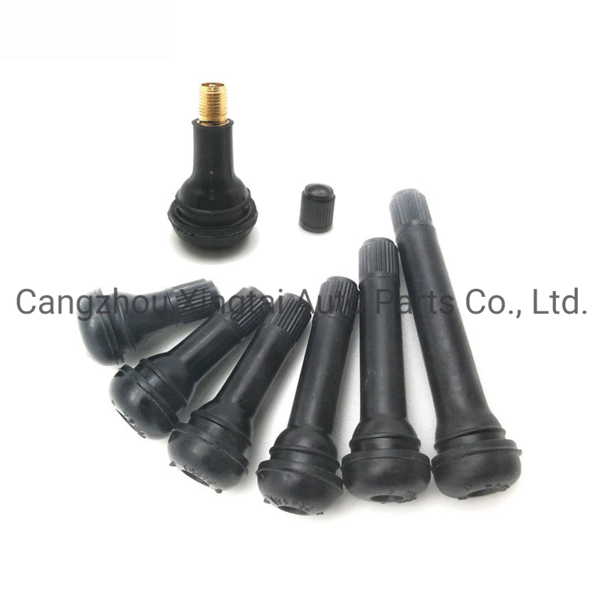 Car Spare Parts Brass Tubeless Snap in Tire Valve for Universal Car Tr418