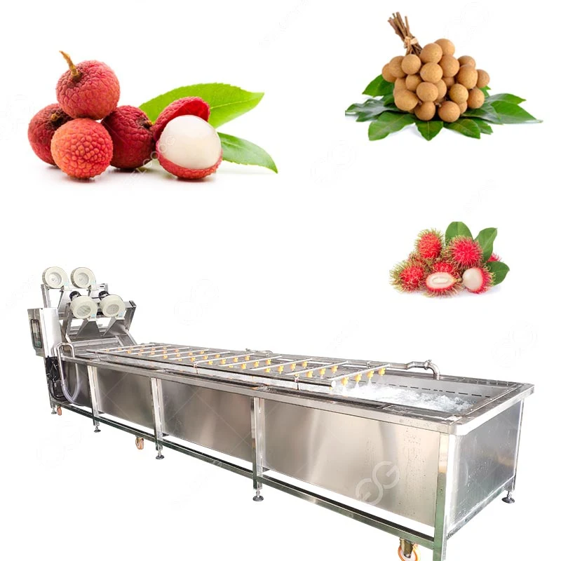 Longan Litchi Rambutan Fruit Washing Drying Line