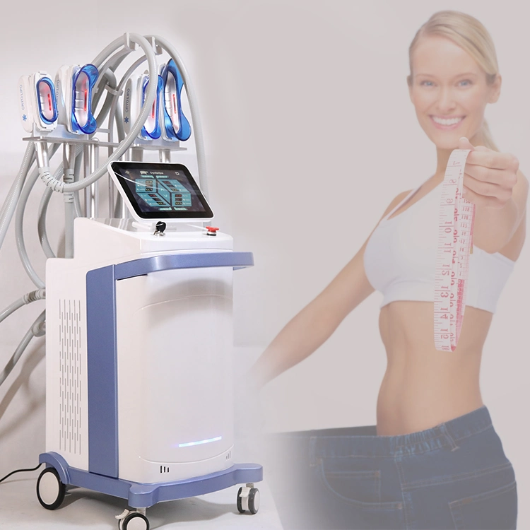 Corps Cryolipolysisfreezing minceur Salon de beauté de la machine de l'équipement