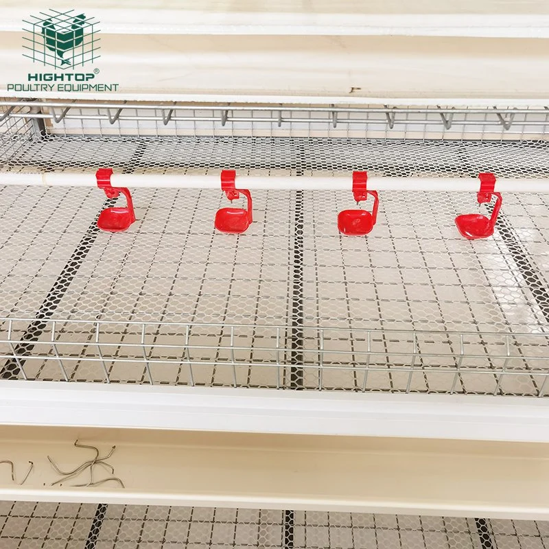 3 Tier H Type Automatic Poultry Chicken Battery Broiler Cage
