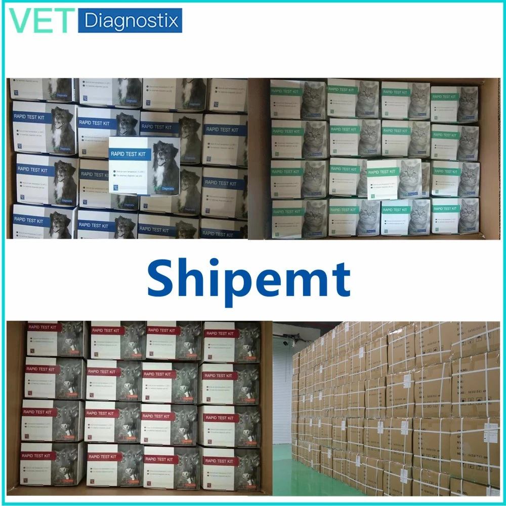 Foot and Mouth Diseases Test Fmd Test Kit Bovine Foot and Mouth Diseases Virus Non-Structural Protein 3ABC Antibody Test Kit