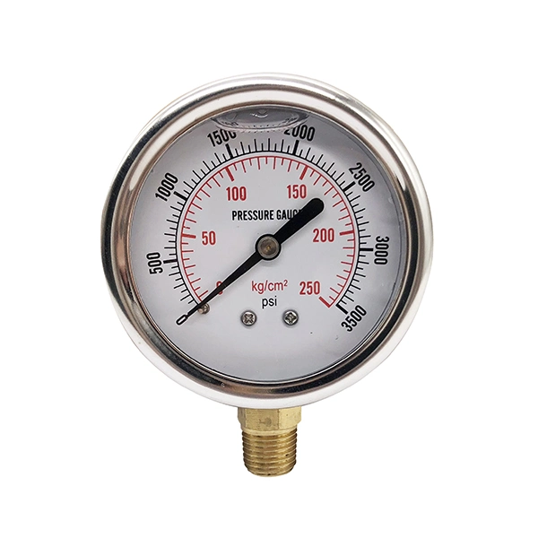 Stainless Steel CAS High Bourdon Tube Gauge Pressure Oil Pressure Gauges Bar Pressure Gauge