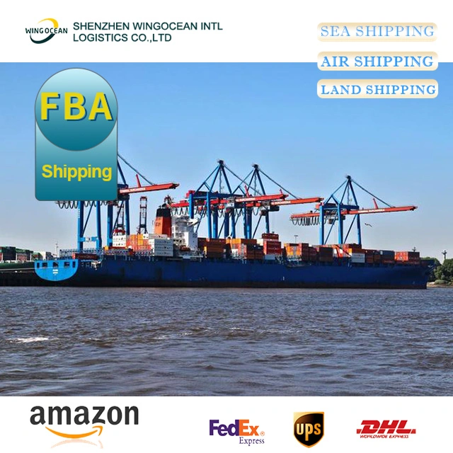 Sea Shipping From China to USA/ Canada/ Europe with The Competitive Offer and Best Service