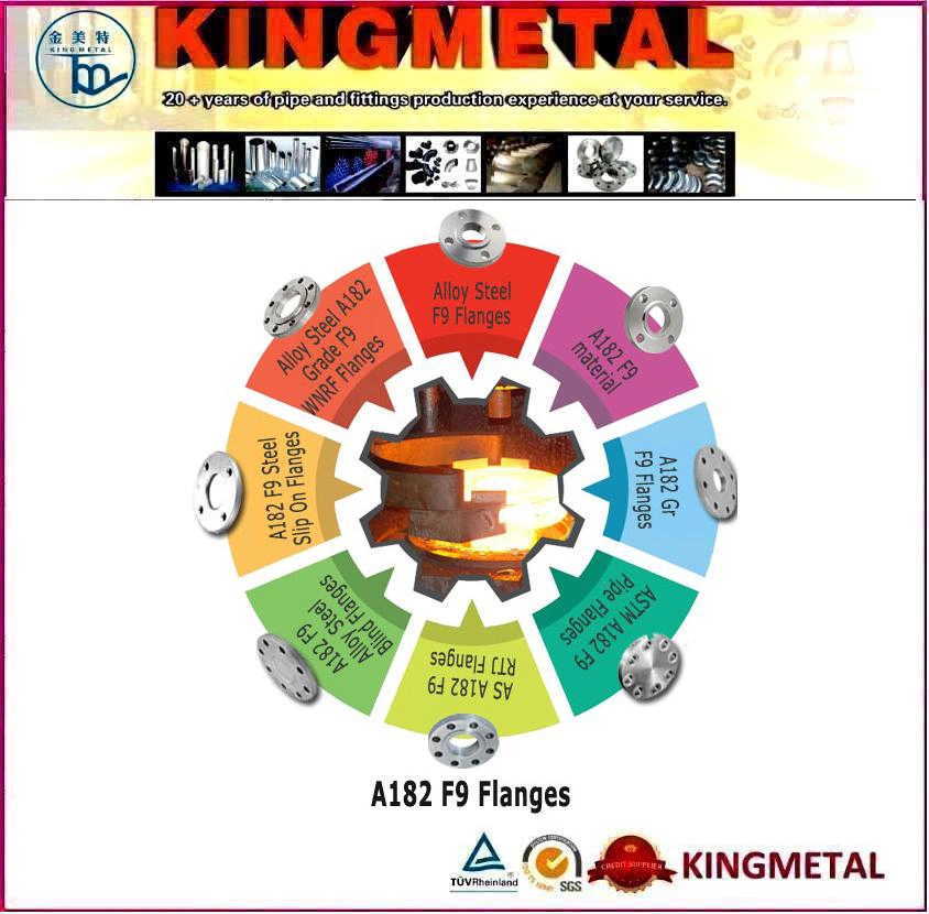 ASTM A182 F9 Alloy Steel Flanges