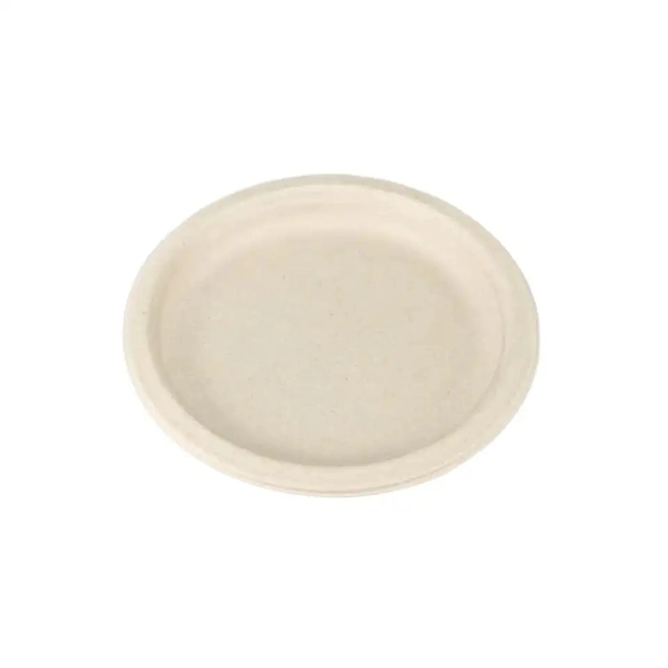 26cm 10inch Square Compoastable Plates Disposable Bagasse Plates Sugarcane Tableware