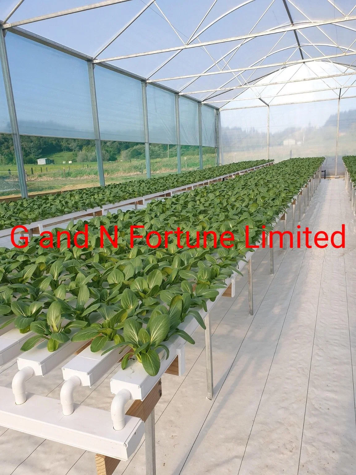 Complete Hydroponic Nft Growing Container Vertical Grow System Container Greenhouse