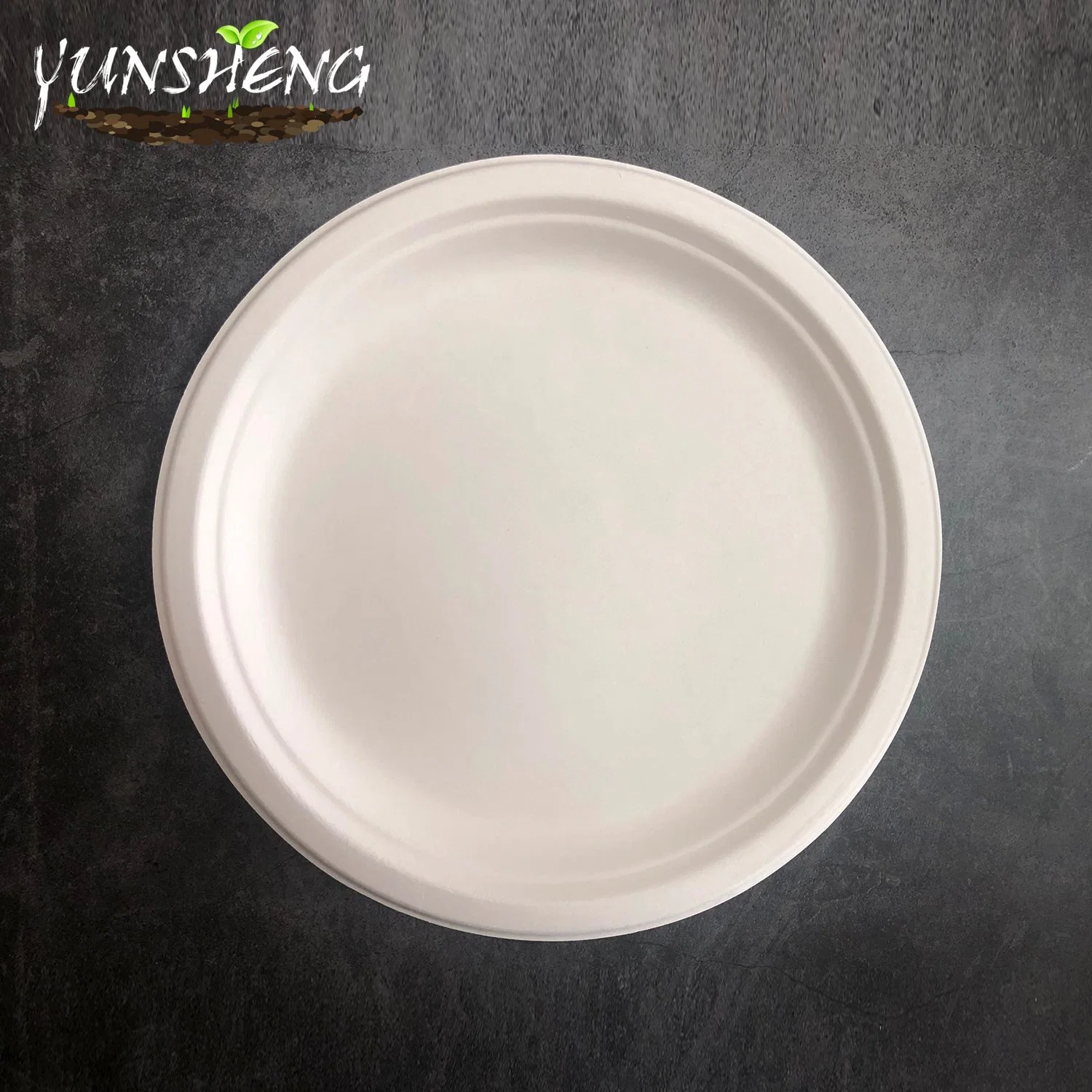 Microwavable Disposable Sugarcane/Wheat Straw/Bamboo Pulp/Firber 100% Compostable Tableware