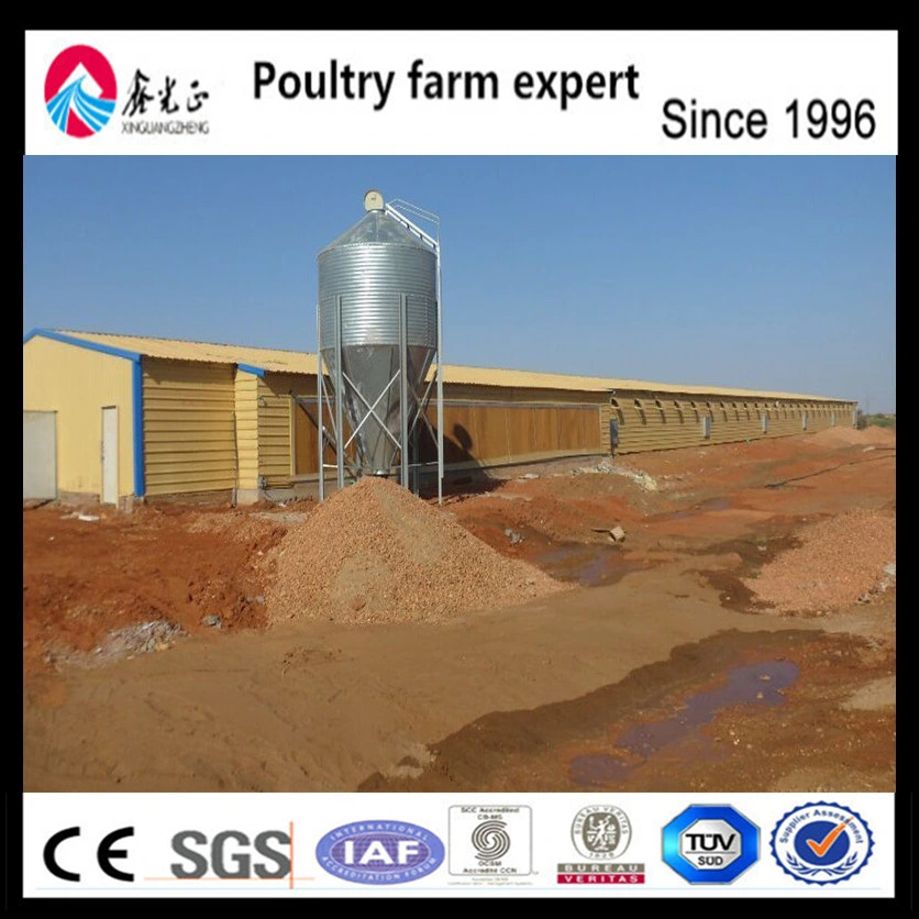 Poultry Feed Growing Broiler Chicks Rate (2018 Best Selling, Discount And Big Sale)