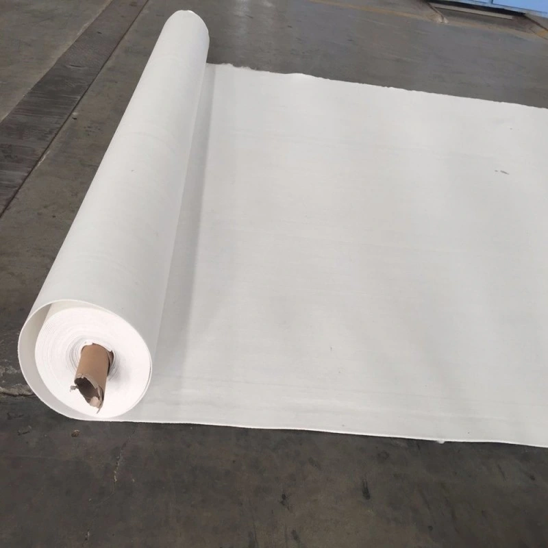 Wholesale/Supplier PP Pet Fabric Nonwoven Geotextile for Slope Protection