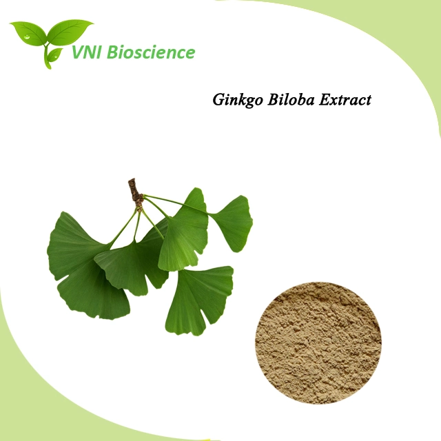 Extracto de Ginkgo Biloba 100% Narural certificado por ISO