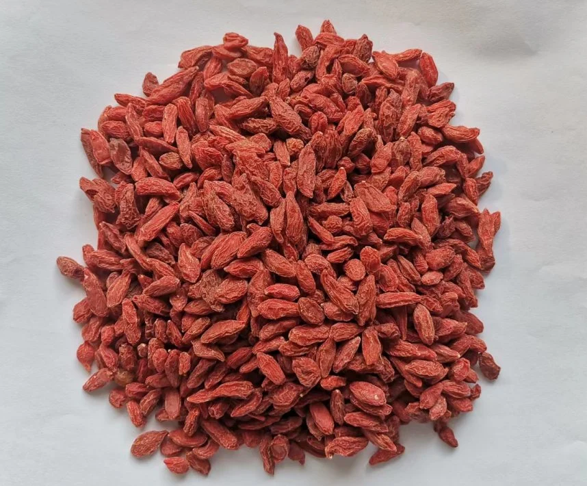 Organic Goji Berries Benefit Food to Health Factory Supply Directly
