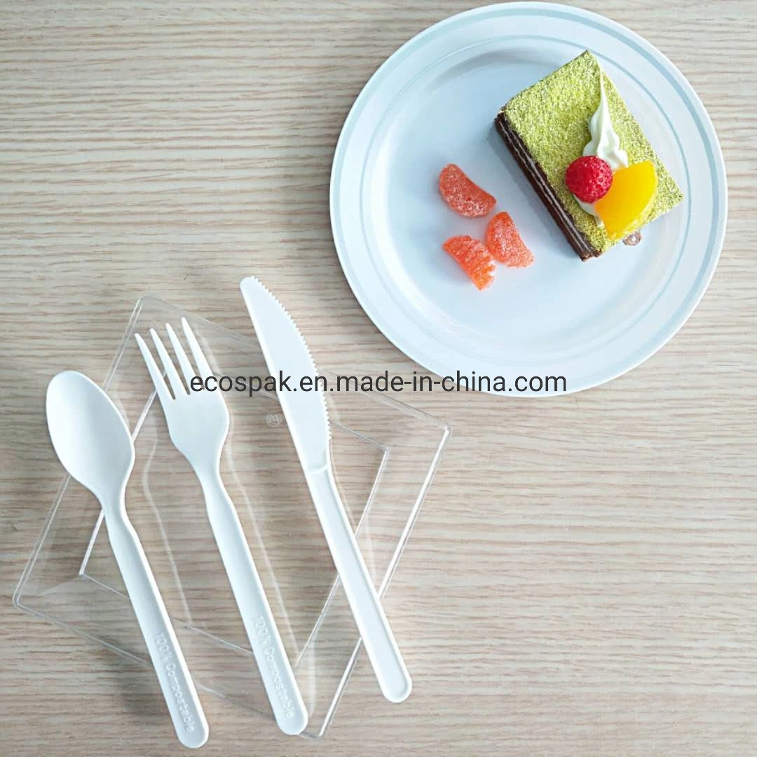 100% Biodegradable Convenient Disposable Plastic Cutlery Set Spoon for PLA