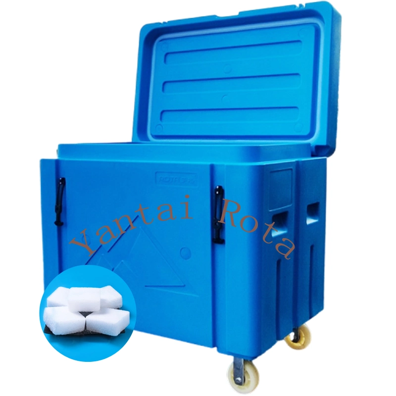 Plastic Insulated Dry Ice Container Ice Cooler Box for Storage Dry Ice