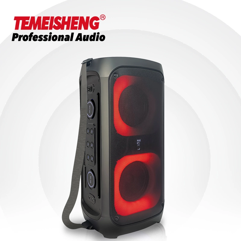 Tms-611 Double 6.5 Inch Party Box Tws Function Wireless Dance Party DJ Subwoofer Bluetooth Speaker