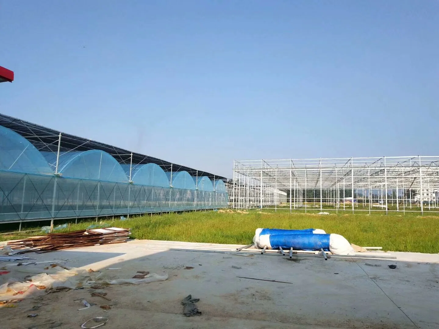 Agricultural and Commercial Tunnel Greenhouses with Hydroponics Growing System Green Housewith Hydroponic Growing Systems