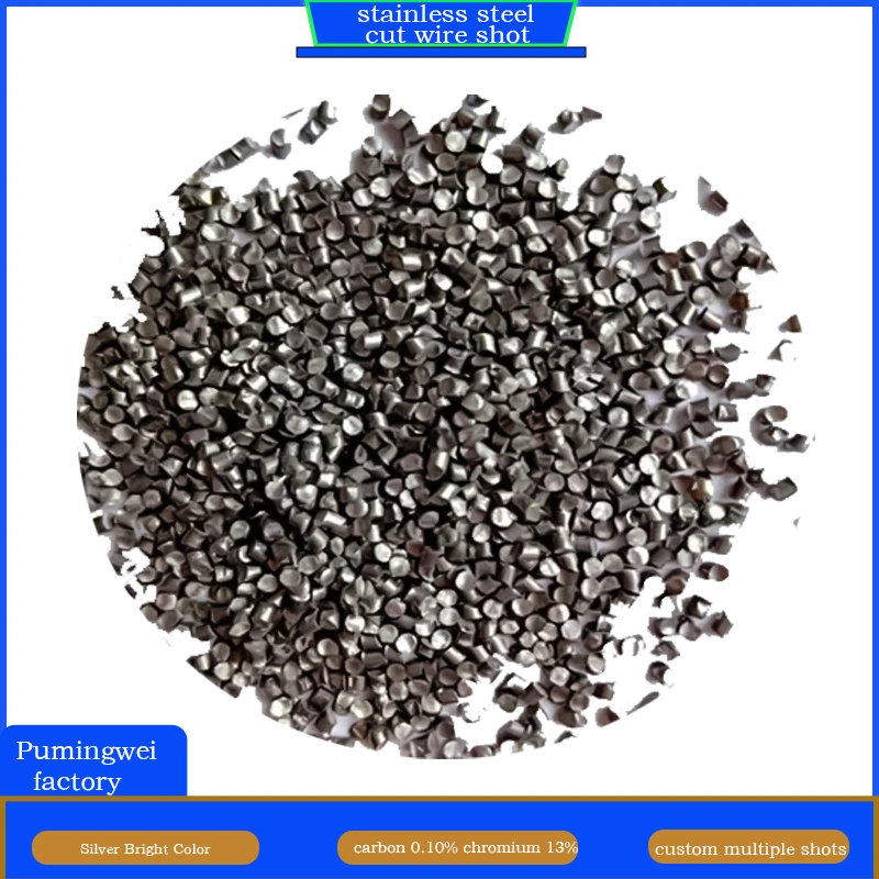 Wholesale/Supplier Stainless Steel Cut Wire Shot Abrasive Used on Shot Blasting Industry