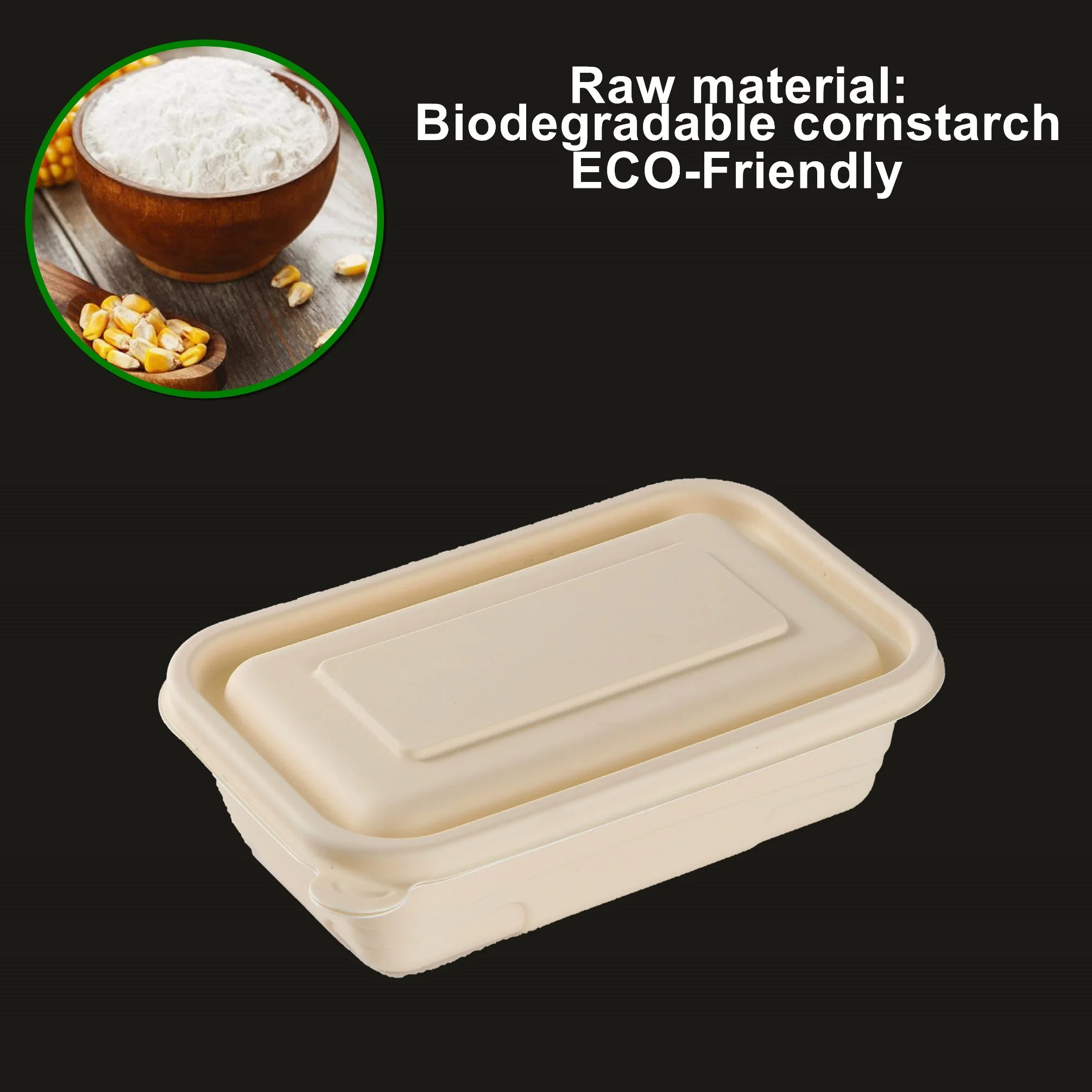 Biodegradable ecológica Contenedor de comida para llevar vajilla desechable Caja de comida rápida con tapa