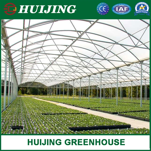 Hot Sale Multi-Span Hydroponics Plastic Greenhouse for Vegetables/Fruits/Garden