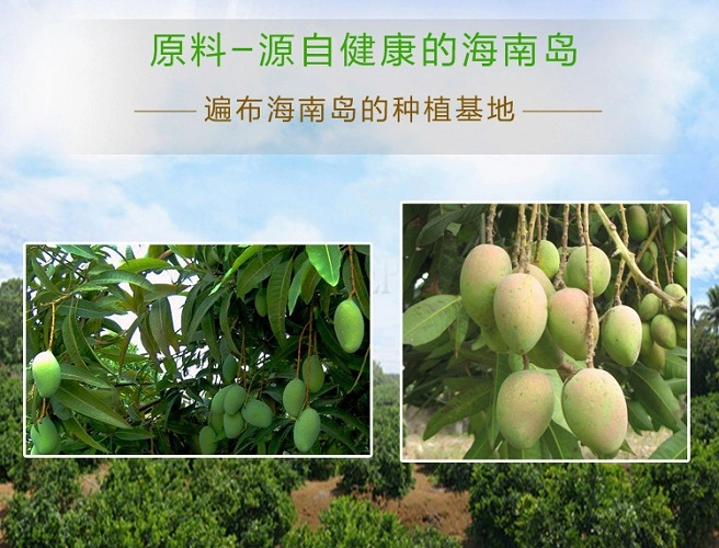 Natural Mango Fruit Powder Spray Dried Mango Powder