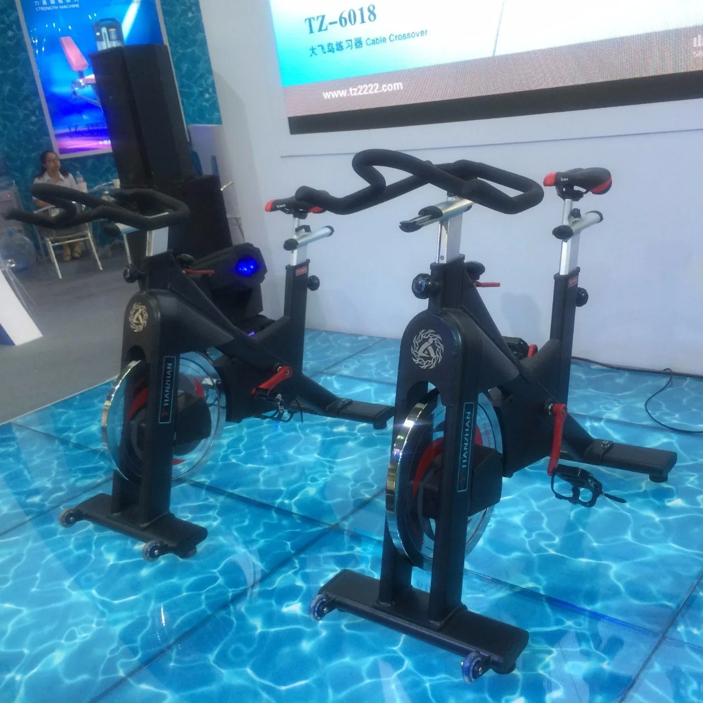 Leather Belt Tz Shandong Fitness Exercise Bike with CE