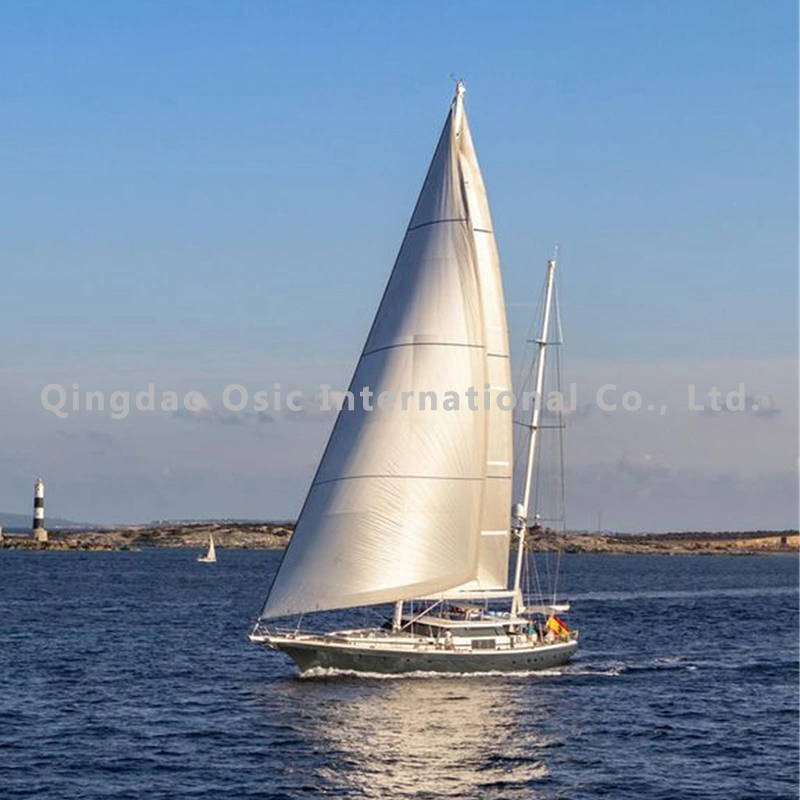 Size and Type Customed Sailboat with High Strength