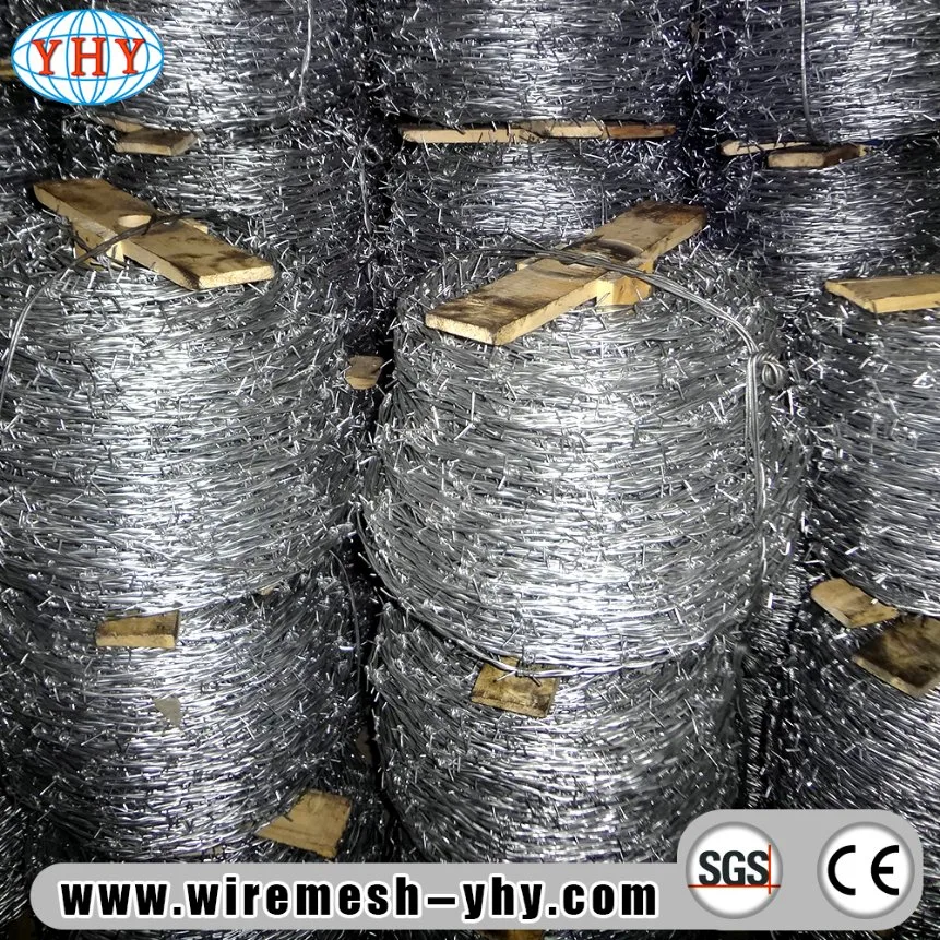 Low Price Hot Dipped Galvanized Iron Barbed Wire