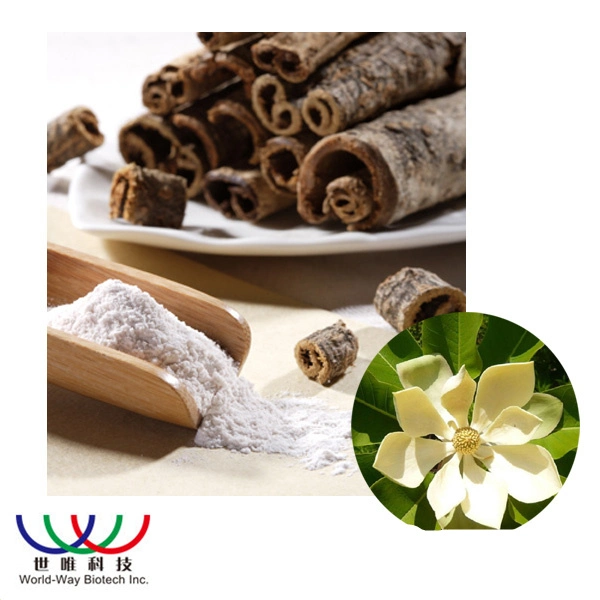 Hot Sale Healthy Food Top Factory Supply Quality Magnolia Officinalis Extract Powder