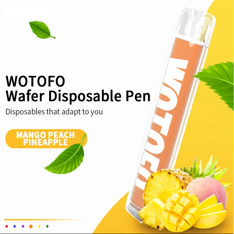 Wholesale I Cheap Mini Vape 600 Puffs Vaporizer Pen Pod Disposable Vape Wotofo Low MOQ