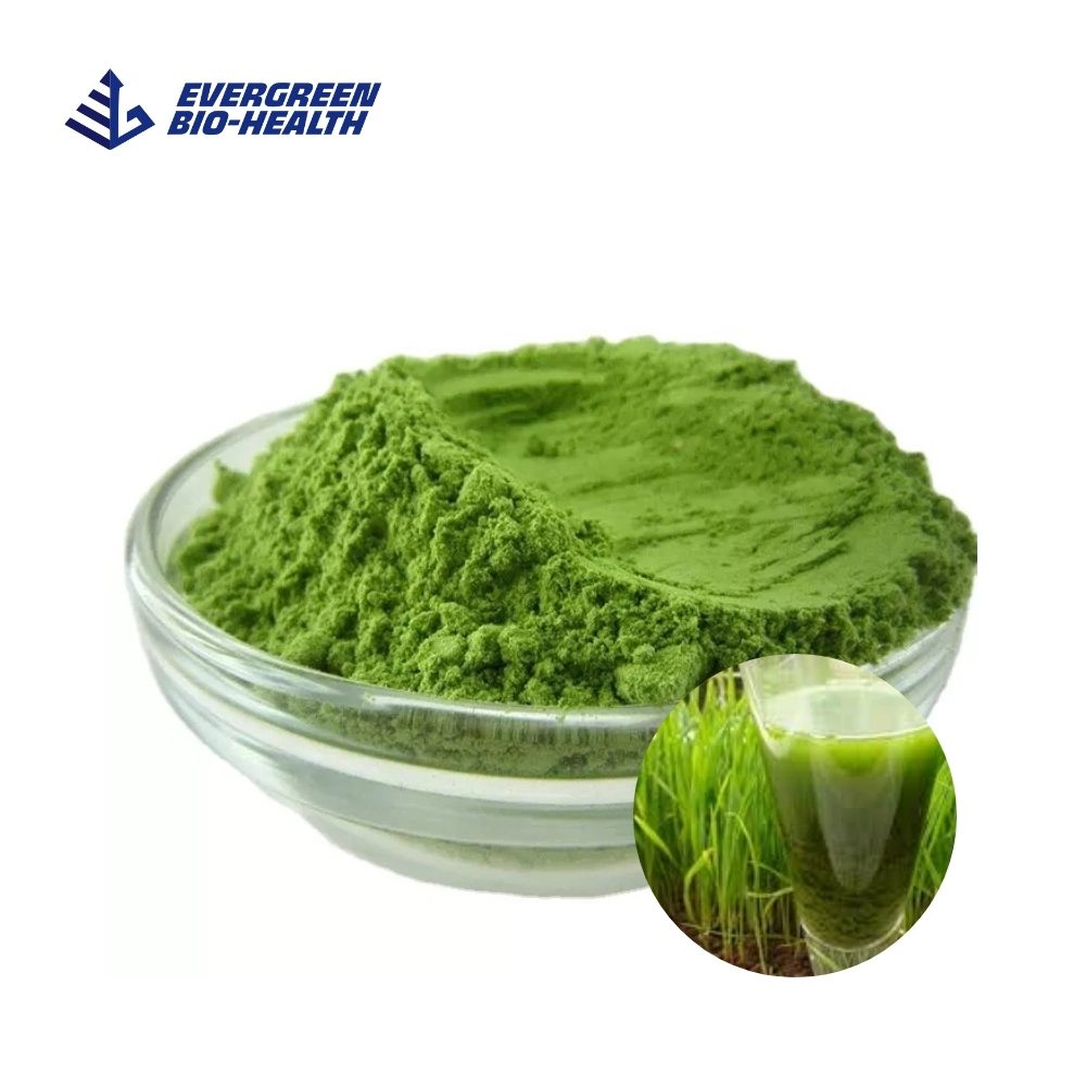 Herbal Supplements Organic Wheat Grass Juice Powder