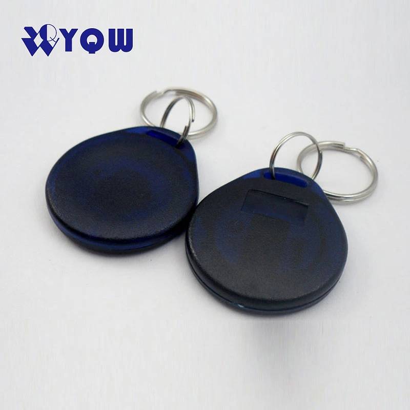 Wholesale/Supplier 125kHz Tk4100 Em4200 RFID Keyfob T5577 Key Fob