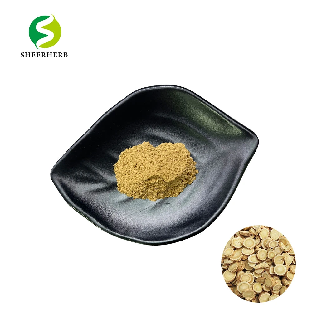 Astragalus Membranaceus Plant Root Extract Powder 10: 1 Astragalus P. E